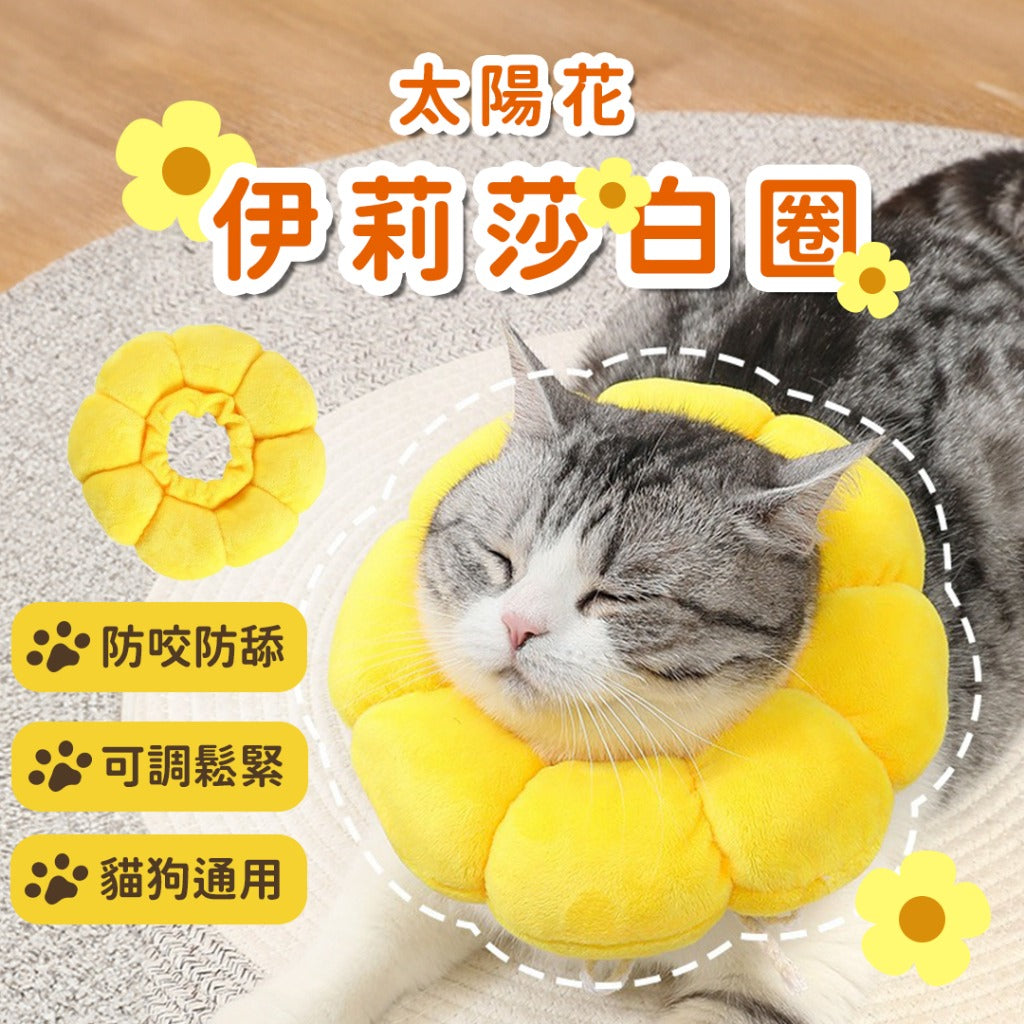 貓狗通用 | 防咬防舔頭套
